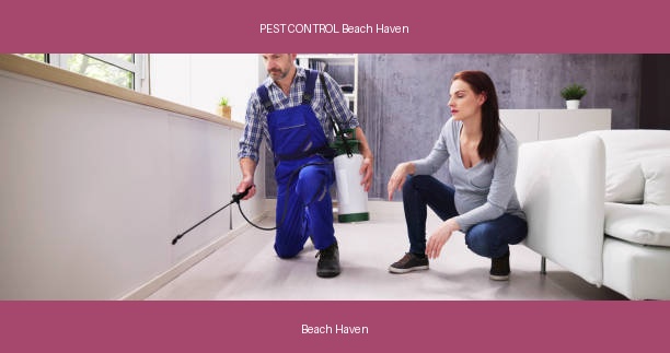 PEST CONTROL Beach Haven